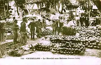 Le marché aux melons à Cavaillon au début du XXe&nbsp;siècle