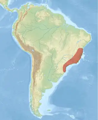 Description de cette image, également commentée ci-après