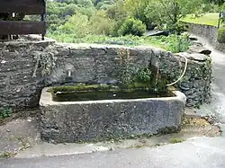 Une fontaine abreuvoir