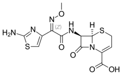 Image illustrative de l’article Ceftizoxime