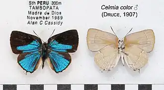 Description de l'image CelmiaColorMUpUnACC1665 1666.jpg.