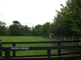 Image illustrative de l’article Celtic Swing