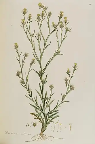 Description de cette image, également commentée ci-après