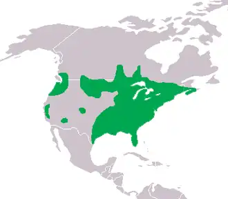 Description de l'image Centrarchidae dis.png.