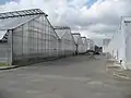 L'extérieur des serres horticoles.