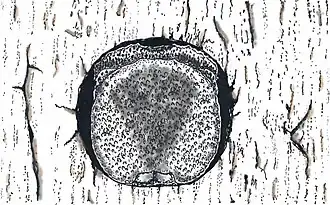 Description de cette image, également commentée ci-après