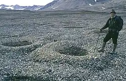 cryosols, cercles de pierres au Spitzberg (aout 2005).