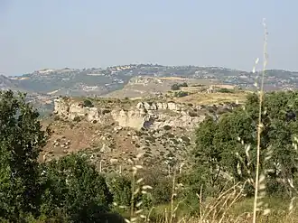 Image illustrative de l’article Acerenthia