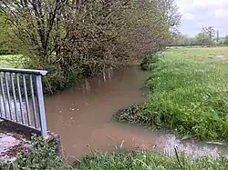 Le Cerf en cru sur la commune de Razac-sur-l'Isle