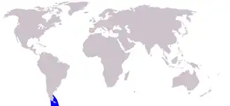 Description de l'image Cetacea range map Commerson's Dolphin.PNG.