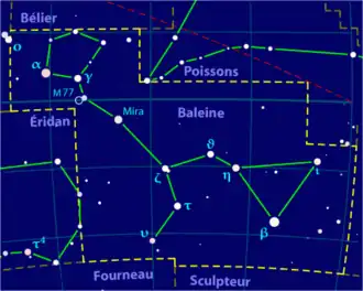 Image illustrative de l'article Baleine (constellation)