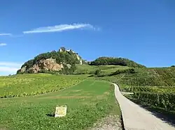 Château-Chalon dominant les coteaux du vignoble Château-Chalon (AOC).