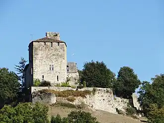 Le château côté ouest et l'enceinte basse en partie détruite en 1575