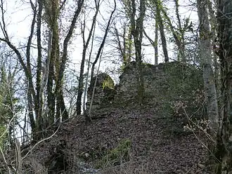 Image illustrative de l’article Château de Rougemont (Ain)