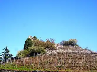 Image illustrative de l’article Château des comtes de Savoie (Conthey)