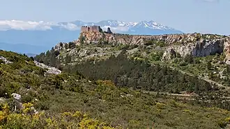 Image illustrative de l’article Château de Salveterra