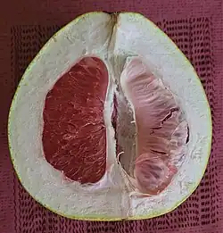 Citrus maxima Chadek, à pulpe rouge plus douce, (Martinique).