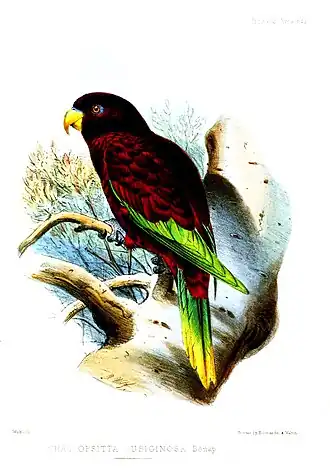 Description de cette image, également commentée ci-après