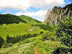 Photographie montrant les chalets et le vallon d'Ubine