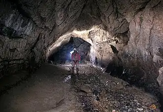 Galerie des Hormones.