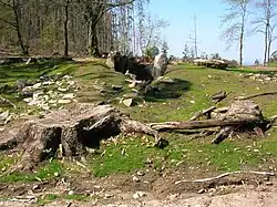 Image illustrative de l’article Chan da Armada