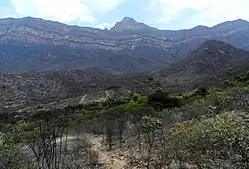 Réserve de Chaparri (Chongoyape, Chiclayo, Pérou).