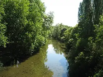 Image illustrative de l’article Arnon