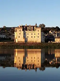 Photographie du château face à la Loire.