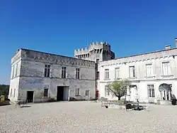La cour d'honneur avec le donjon et le puits.