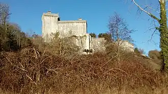 Le donjon, vue de la vallée.