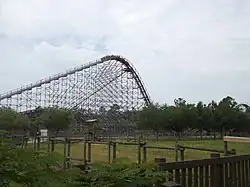 Cheetah à Wild Adventures