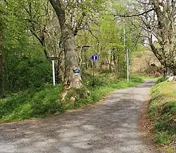 Le chemin à Lourdes.