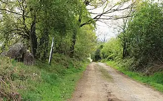 Dolmen de Peyre Dusets.