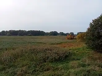 Grandes battures Tailhandier (au fond) depuis l'île de la Commune séparées par le chenal du Courant.