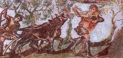 Labour et semailles.