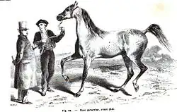 Gravure représentant un paysan tenant un cheval fougueux en licol et le présentant à un homme en manteau et chapeau haut de forme avec un certain embompoint.