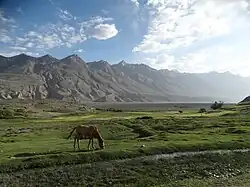 Des chevaux à Sarhad