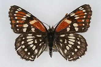 Description de cette image, également commentée ci-après