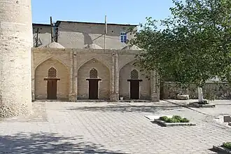 Trois cellules restantes de Tchor Minor.