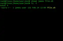 Description de l'image Chown command.png.