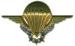 Brevet des Chuteurs Opérationnels pour les saut à 1200,3500,6500m (GCP et CPA) un insigne existe quasi identique dans l'Armée de l'Air pour les CPA