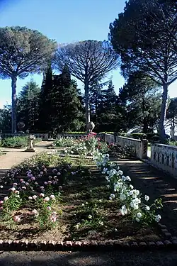 La terrasse des roses.