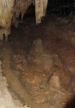 Le Cimetière des ours contient des ossements datés entre 50 000 et 24 000 ans.