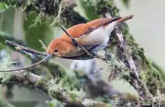 Description de cette image, également commentée ci-après