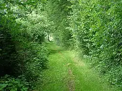 Sur le circuit du bout-là-haut.