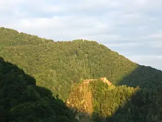 Ruines de la citadelle de Poenari
