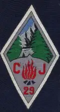 Insigne du CJF 29 - Groupe de direction.