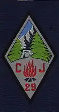 Insigne du CJF 29 - Groupe 9.