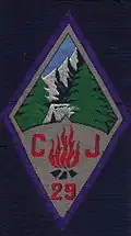Insigne du CJF 29.