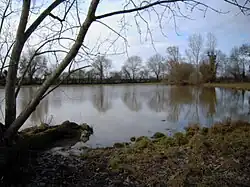 L'étang du Clairet à La Pouëze où l'Erdre prend sa source.